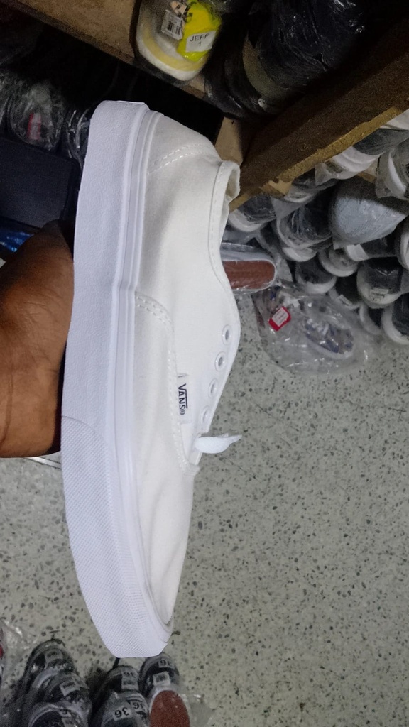 Vans Toda Blanca 