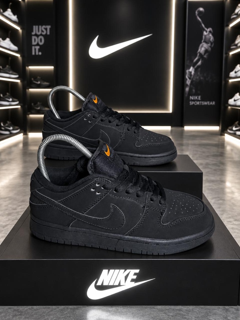 Nike Sb Low Pro Negro Todo
