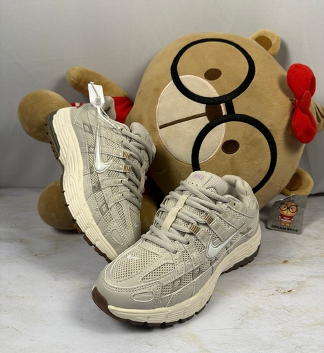Nike  P6000 Beige-Marron