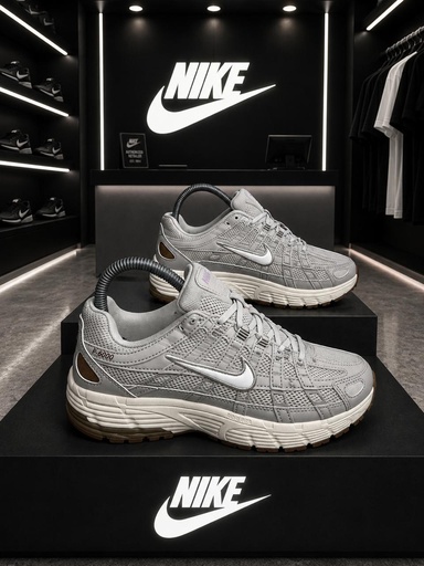 Nike  P6000 Beige-Marron