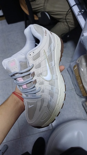Nike  P6000 Beige-Marron Oscuro